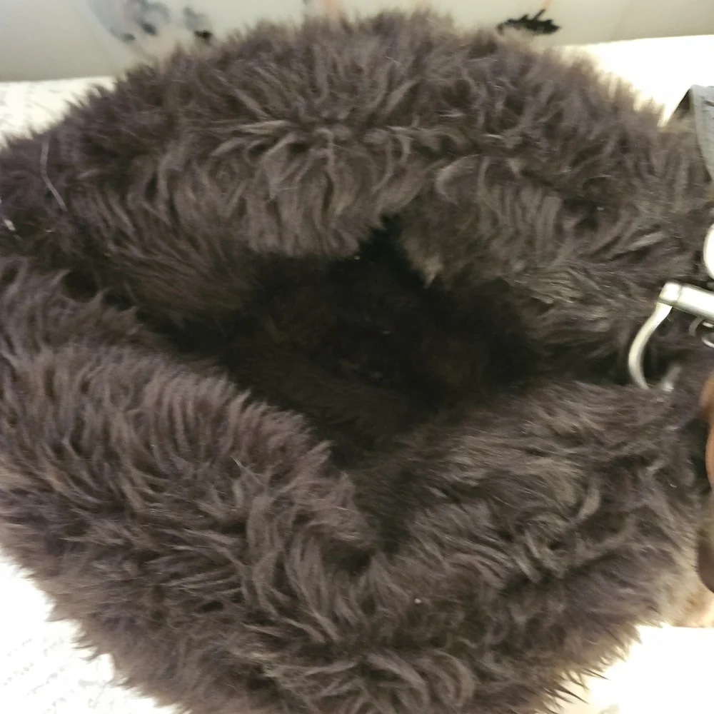 Cute dog purse